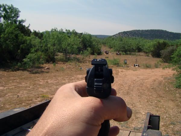 walther2.jpg