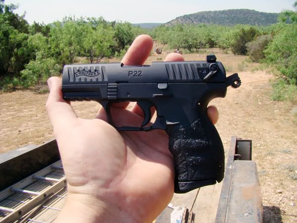 walther3.jpg