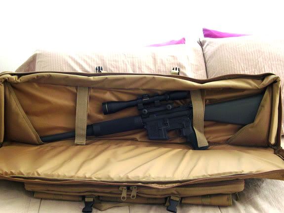 Molle2.jpg