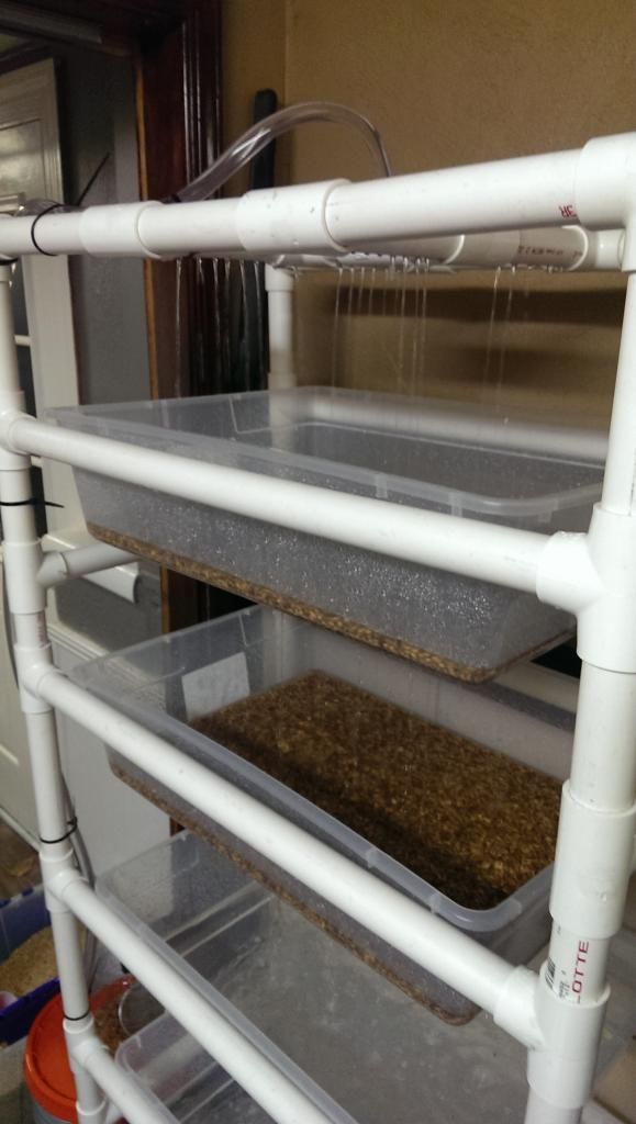 My Fodder System - Hydroponics / Aquaponics