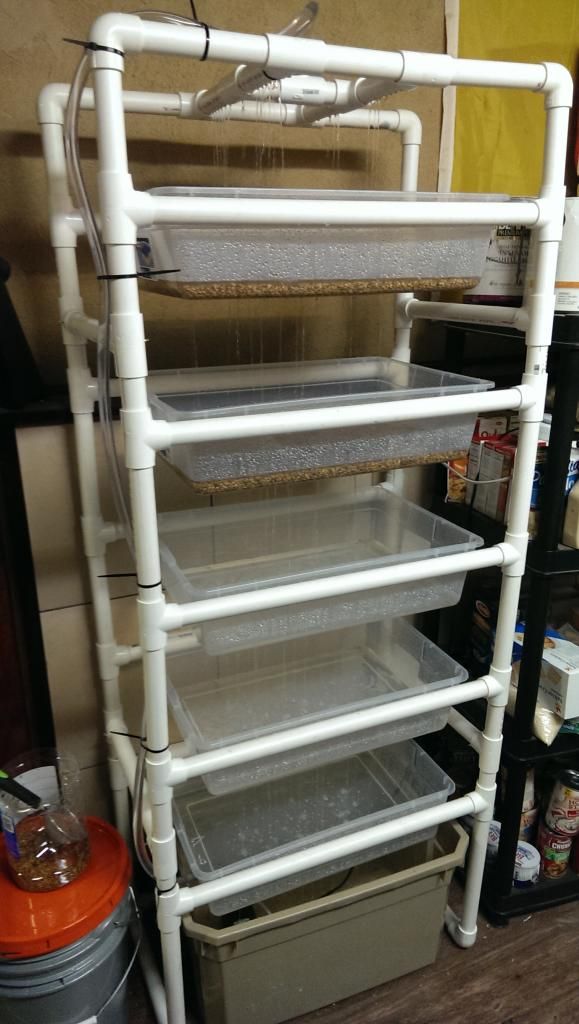 My Fodder System - Hydroponics / Aquaponics