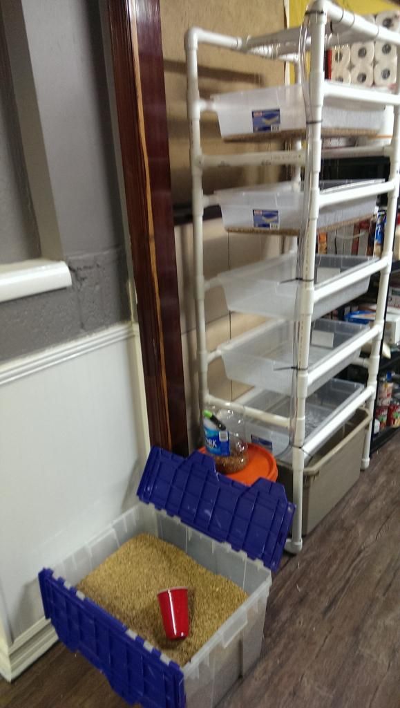 My Fodder System - Hydroponics / Aquaponics