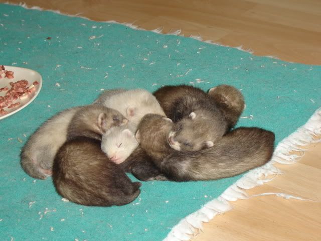 Picture214.jpg