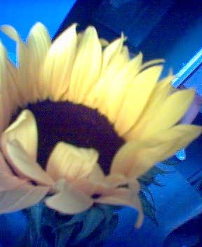 Image hosting by Photobucket