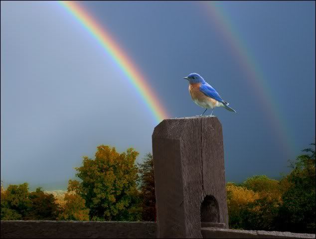 rainbow photo: Somewhere over the rainbow get-attachment-8aspx.jpg