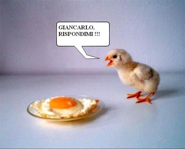giancarlo, rispondimi!