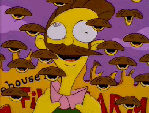 tumblr_l3pkjeob6u1qc073co1_400_zpshbgposfw.gif