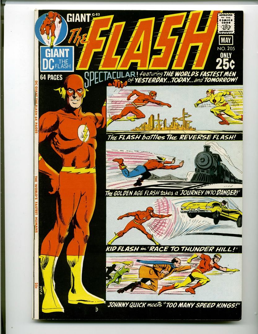 flash205.jpg