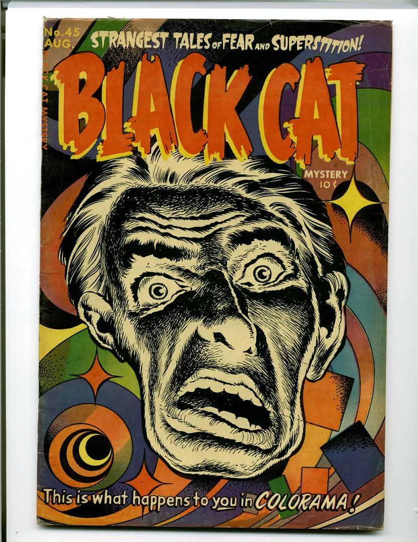 blackcat45.jpg