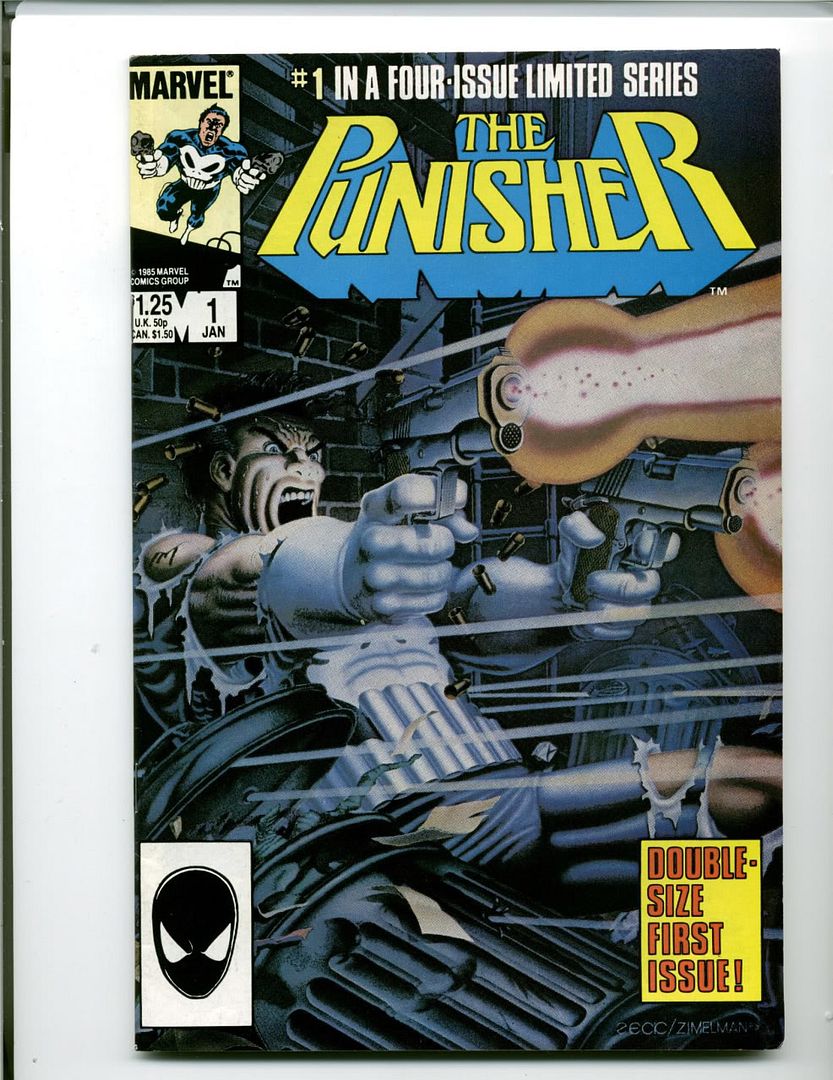 punisher1.jpg