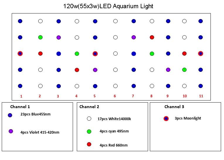 Layoutofthe55x3w12.jpg