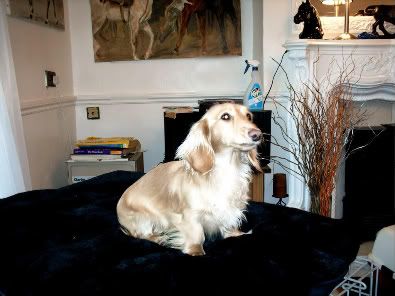Georgina-lolasmum-1.jpg