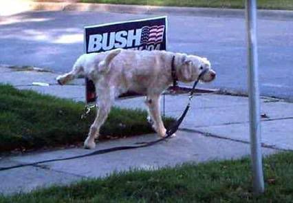 re: happy birthday WONDERWAITER