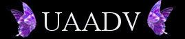 dv, domestic, domestic violence, violence, victims,UAADV, uaadv,United Angels Against Domestic Violence