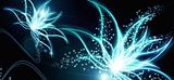 ExtendedNetwork-4.jpg image by amwildone