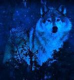 Wolves-12.jpg image by amwildone