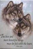 Wolves-8.jpg image by amwildone