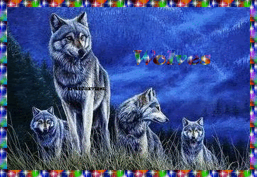 wolves-9.gif image by amwildone