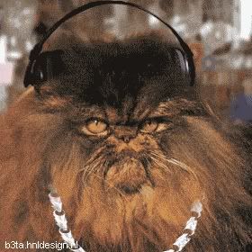 http://i44.photobucket.com/albums/f7/furmious/cat_hiphop.jpg