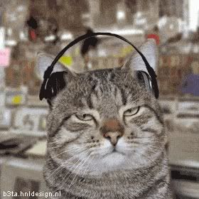 http://i44.photobucket.com/albums/f7/furmious/cat_stoner-1.jpg