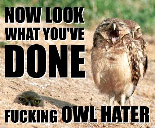 Owl Hater