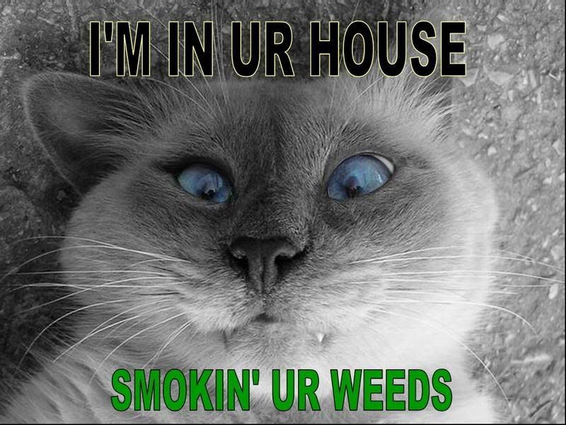 http://i44.photobucket.com/albums/f7/furmious/weedslg3.jpg