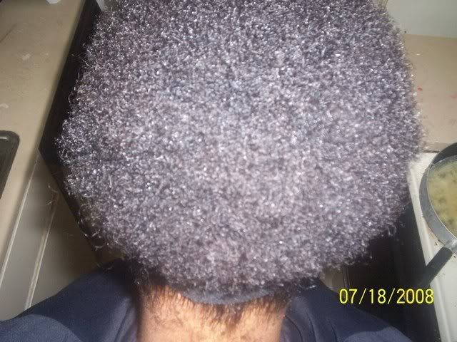 bigchop018.jpg