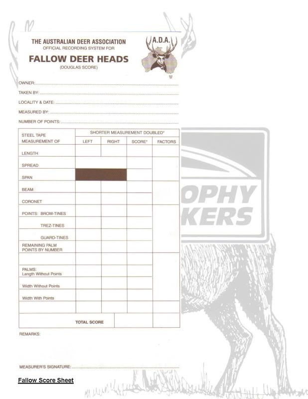 how-to-measure-a-fallow-deer