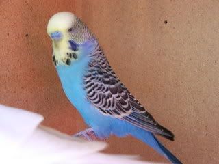 111007-1.jpg