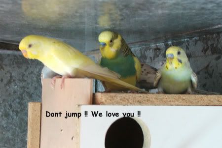 caption1.jpg