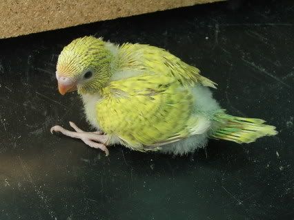 ju06009.jpg