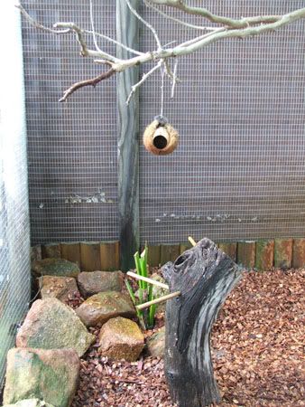 septemberaviary002x.jpg