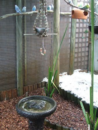 septemberaviary003x.jpg