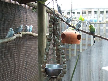septemberaviary010x.jpg