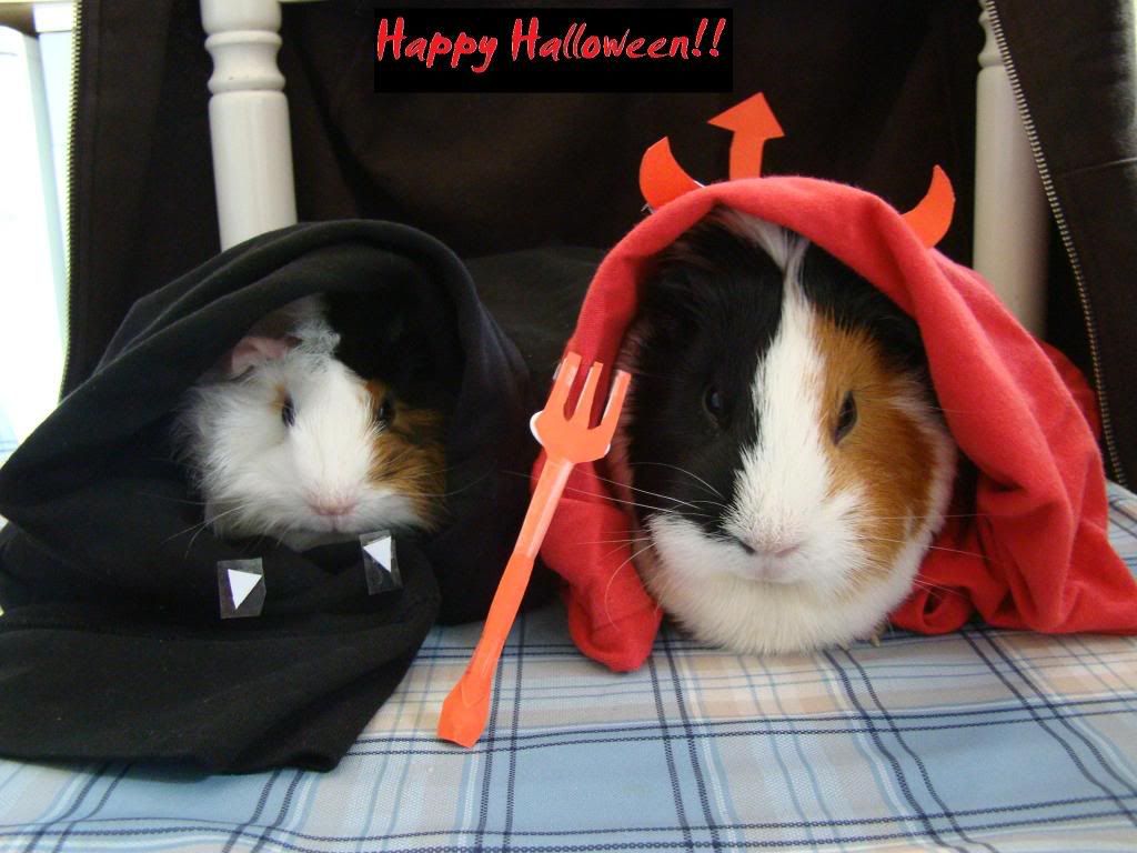 HappyHalloween.jpg