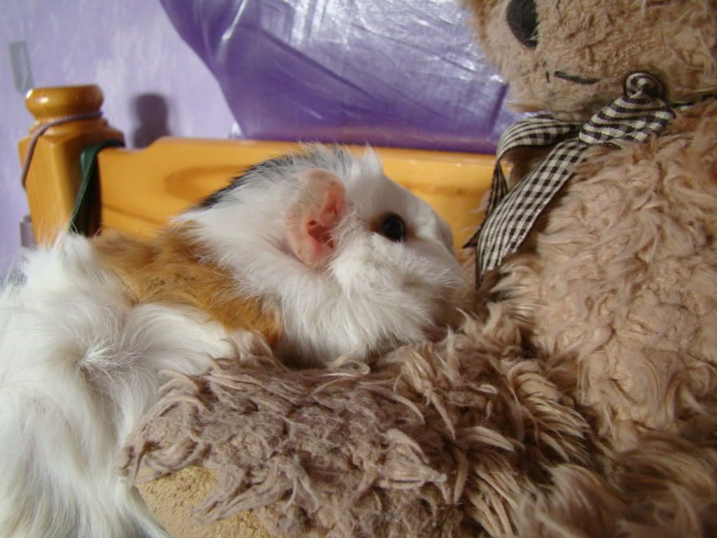 photos001.jpg