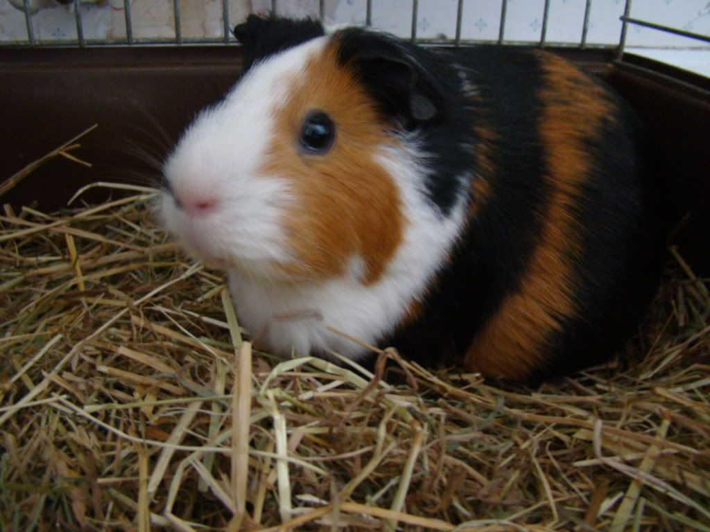 photos007.jpg