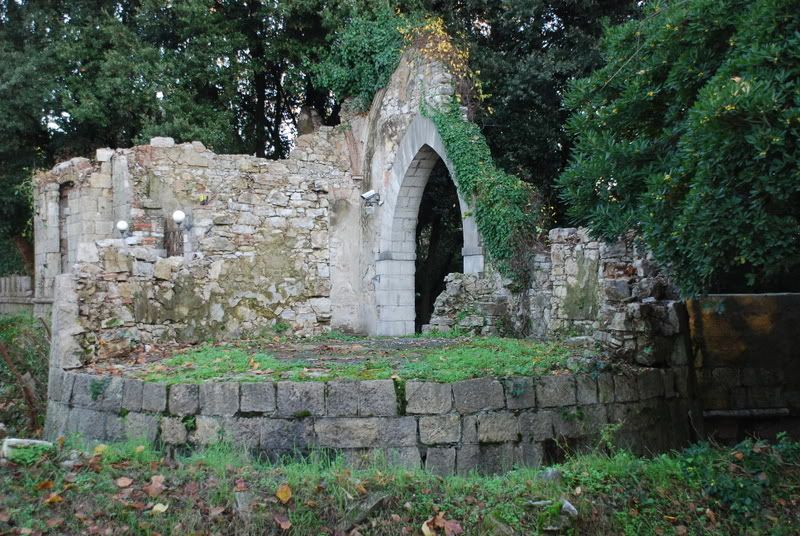 massaciuccoli