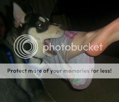 Photobucket