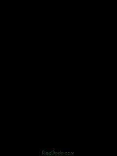 matrix240x320.gif