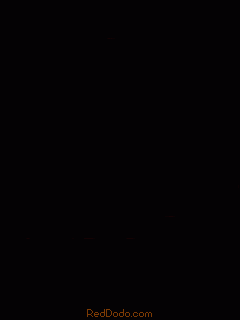 matrix5240x320.gif