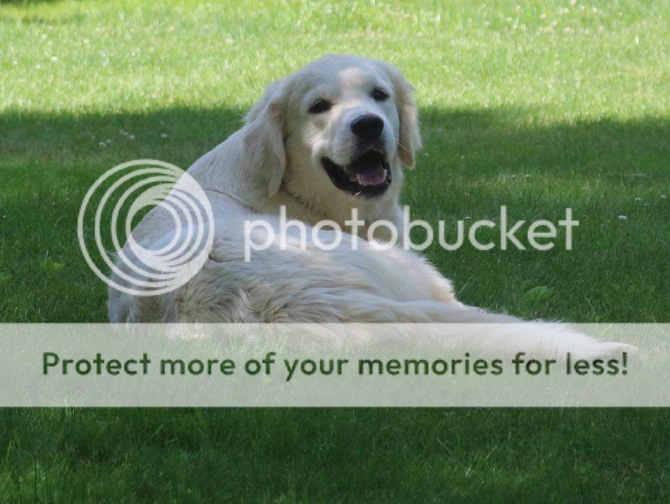 Photobucket - Video and Image Hosting