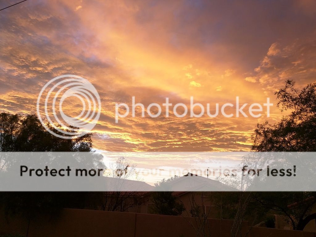  photo IMG_20160618_200010_zpsemjgokgr.jpg