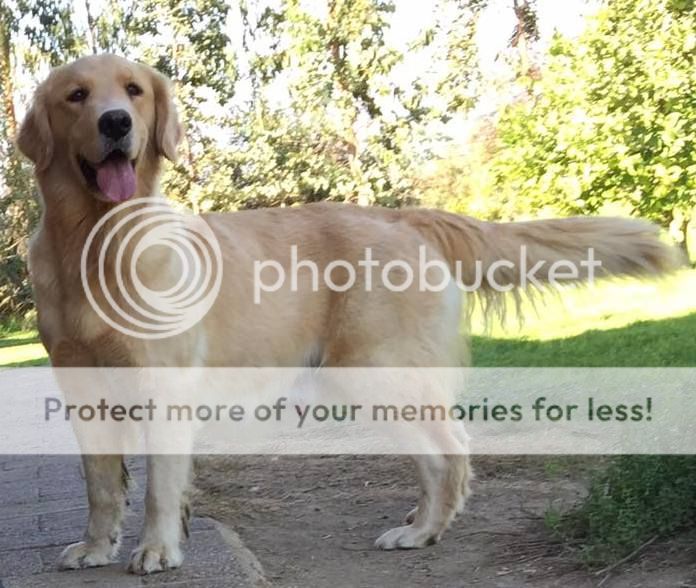 Photobucket - Video and Image Hosting