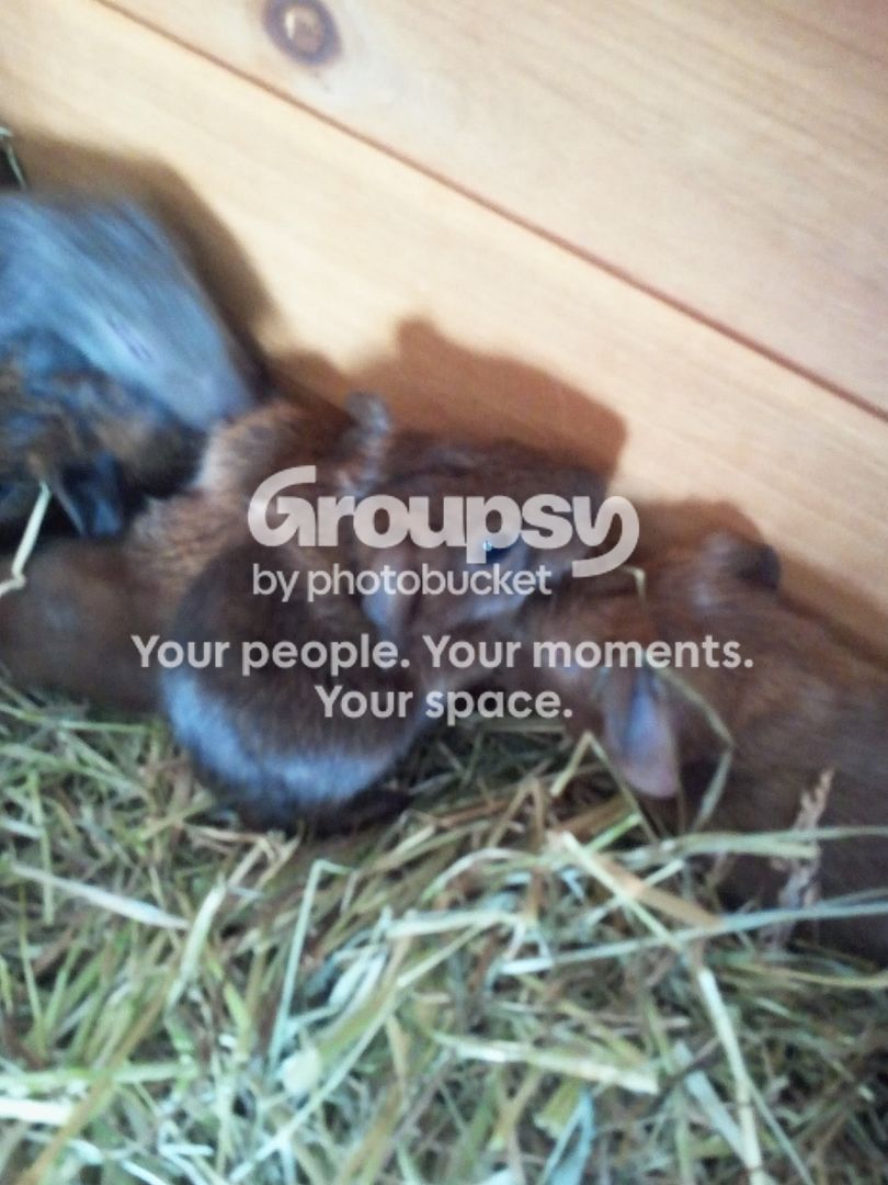 2011-03-13142842.jpg