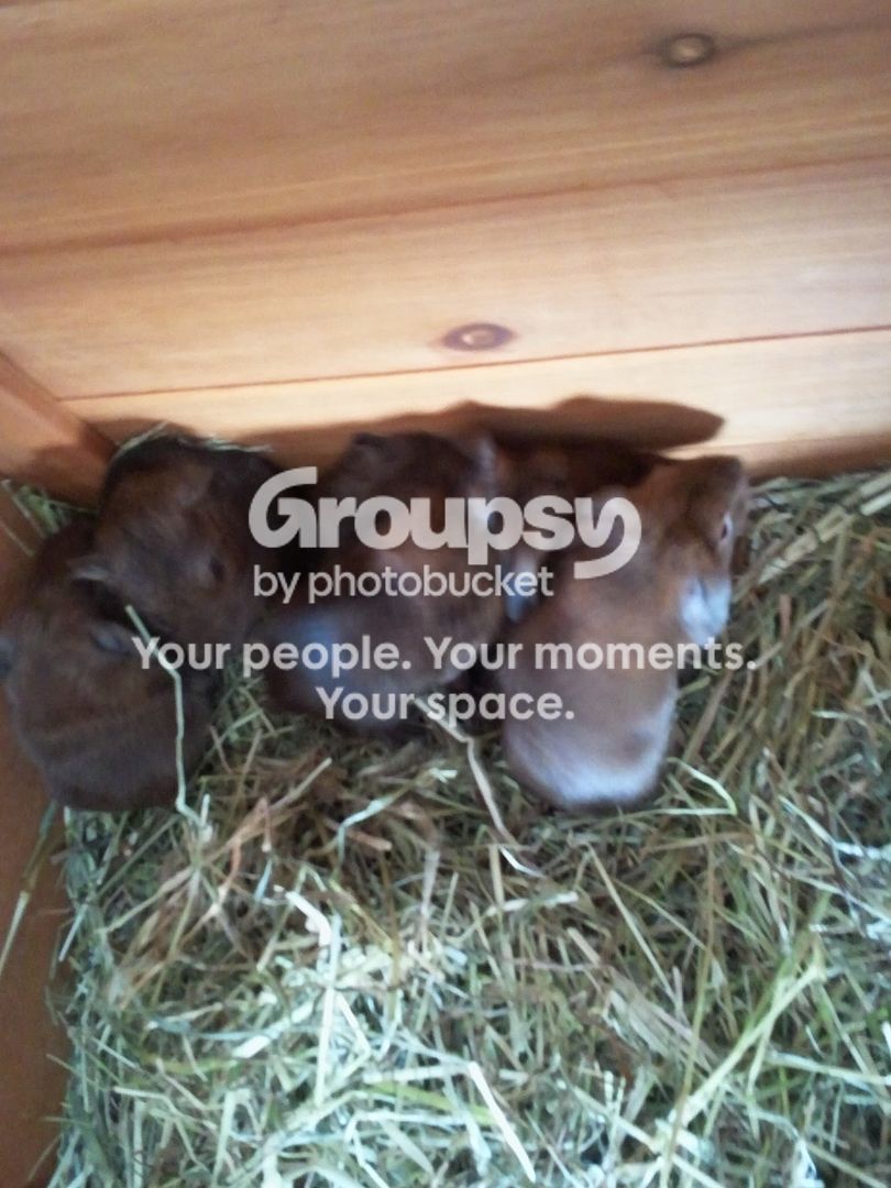 2011-03-13143125.jpg