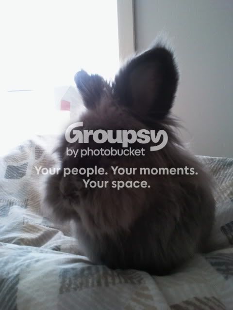 2011-04-25105622.jpg