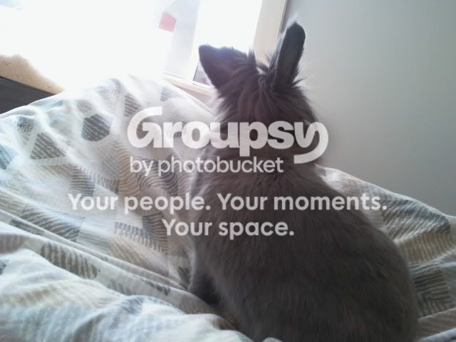 2011-04-25105636.jpg