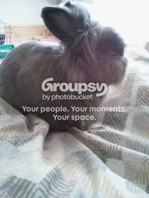2011-04-25105718.jpg
