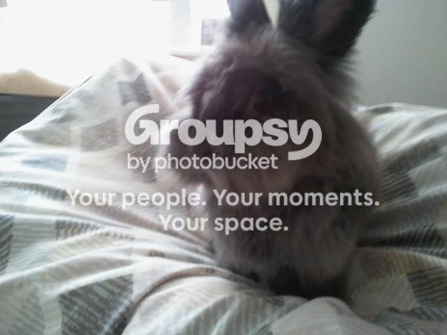 2011-04-25110044.jpg